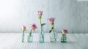 Top 5 nước hoa nhẹ nhàng thơm lâu