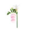 GIORGIO ARMANI Si Eau De Toilette For Women