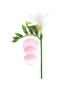 GIORGIO ARMANI Si Eau De Toilette For Women