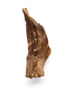 GIORGIO ARMANI Si Intense Eau De Parfum For Women