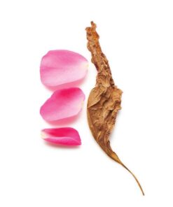 GIORGIO ARMANI Si Intense Eau De Parfum For Women